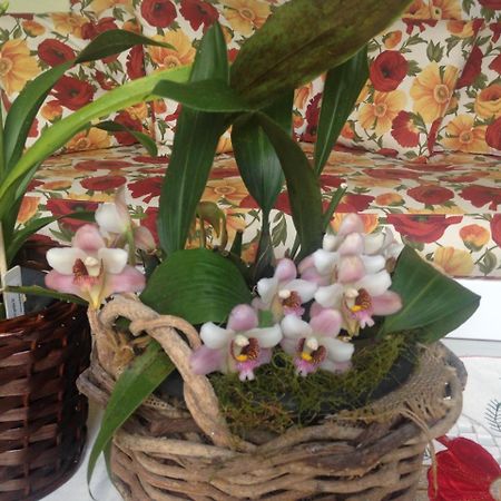 Pousada Beija Flor Gramado Kültér fotó