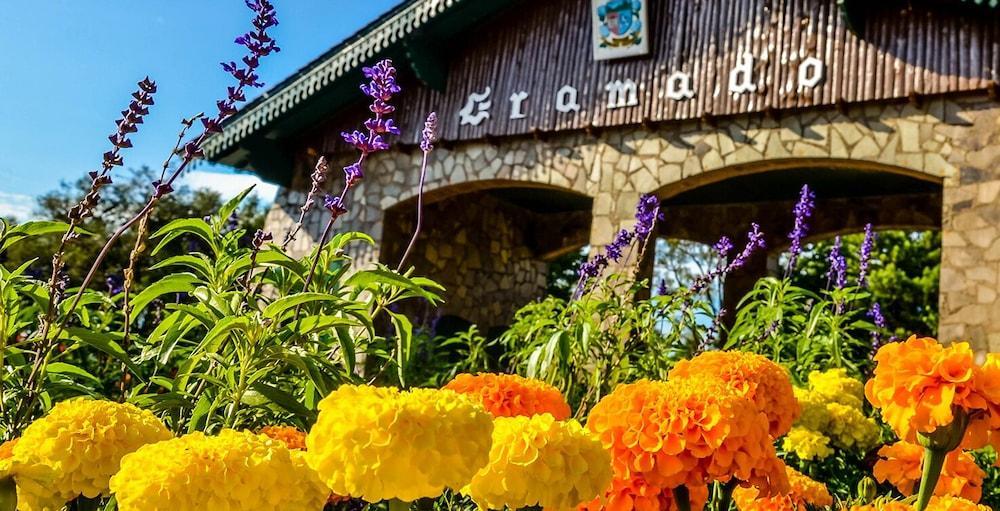 Pousada Beija Flor Gramado Kültér fotó